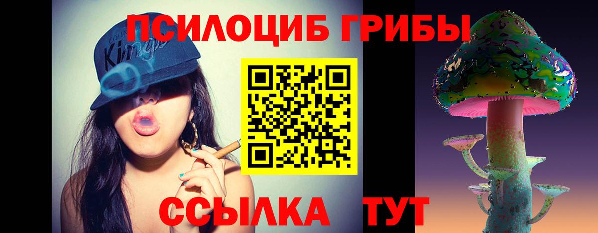Псилоцибиновые грибы Cubensis  Вход с VPN  Гусиноозёрск 